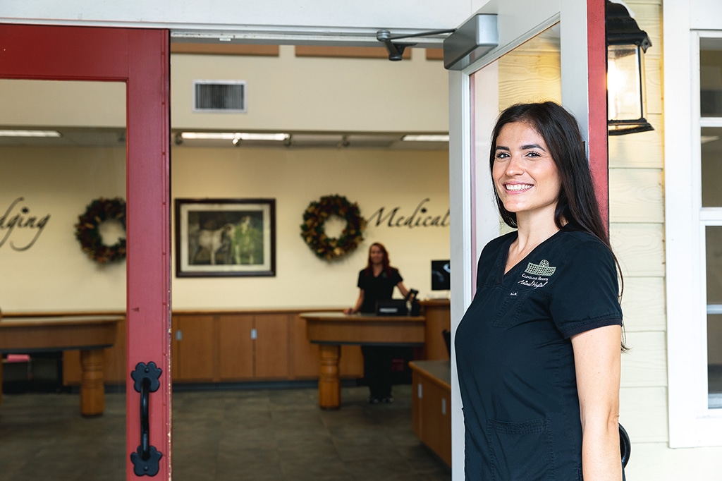 Veterinary professionals